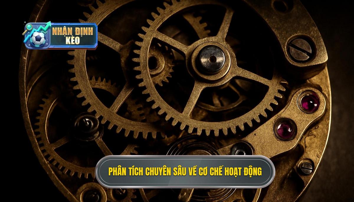 Phân tích Chuyên sâu về Cơ chế Hoạt động