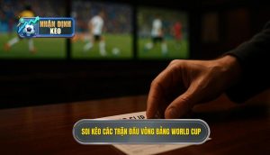 Soi kèo các trận đấu vòng bảng World Cup