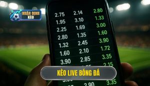 thumb - kèo live bóng đá