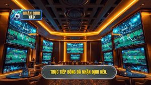 Trực Tiếp Bóng Đá Hôm Nay