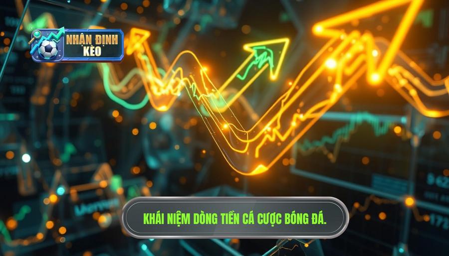 Dòng tiền cá cược là gì? Tại sao nó lại quan trọng?