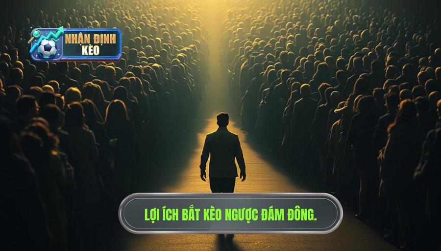 Tại sao kinh nghiệm bắt kèo ngược đám đông lại quan trọng?