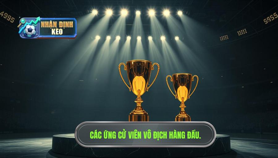 Phân tích các ứng cử viên vô địch hàng đầu Phân tích các ứng cử viên vô địch hàng đầu
